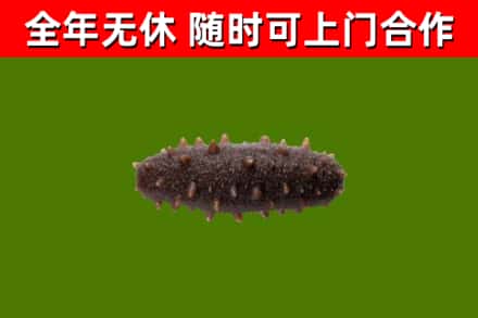 尧都烟酒回收干海参.jpg